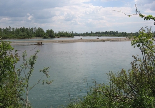 Fluss Drina